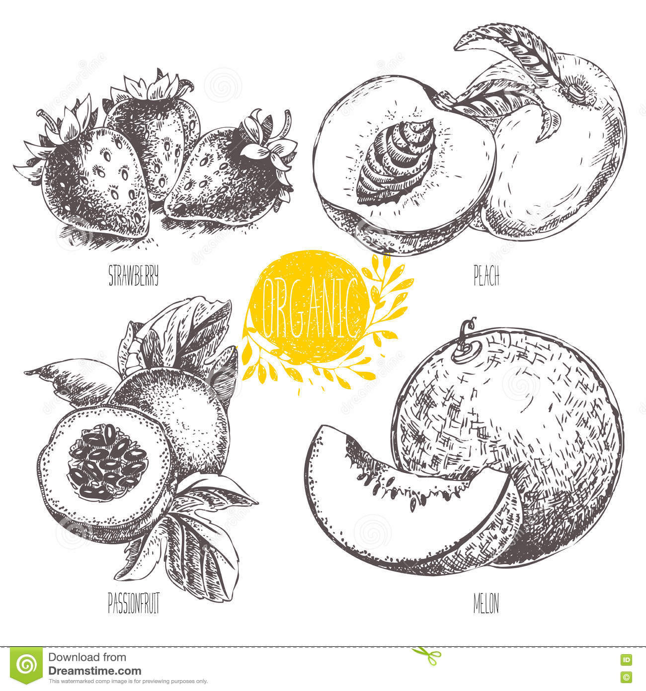 1300x1390 strawberry sketch drawing inspirational strawberry pencil sketch - Strawberry Pencil Drawing