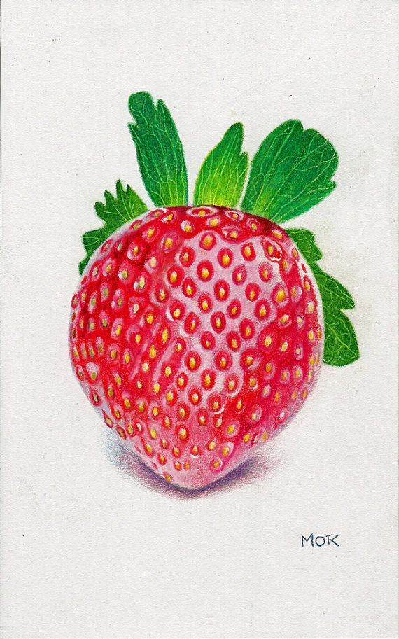570x913 Strawberry Colored Pencil Drawing On Paper - Strawberry Pencil Drawing