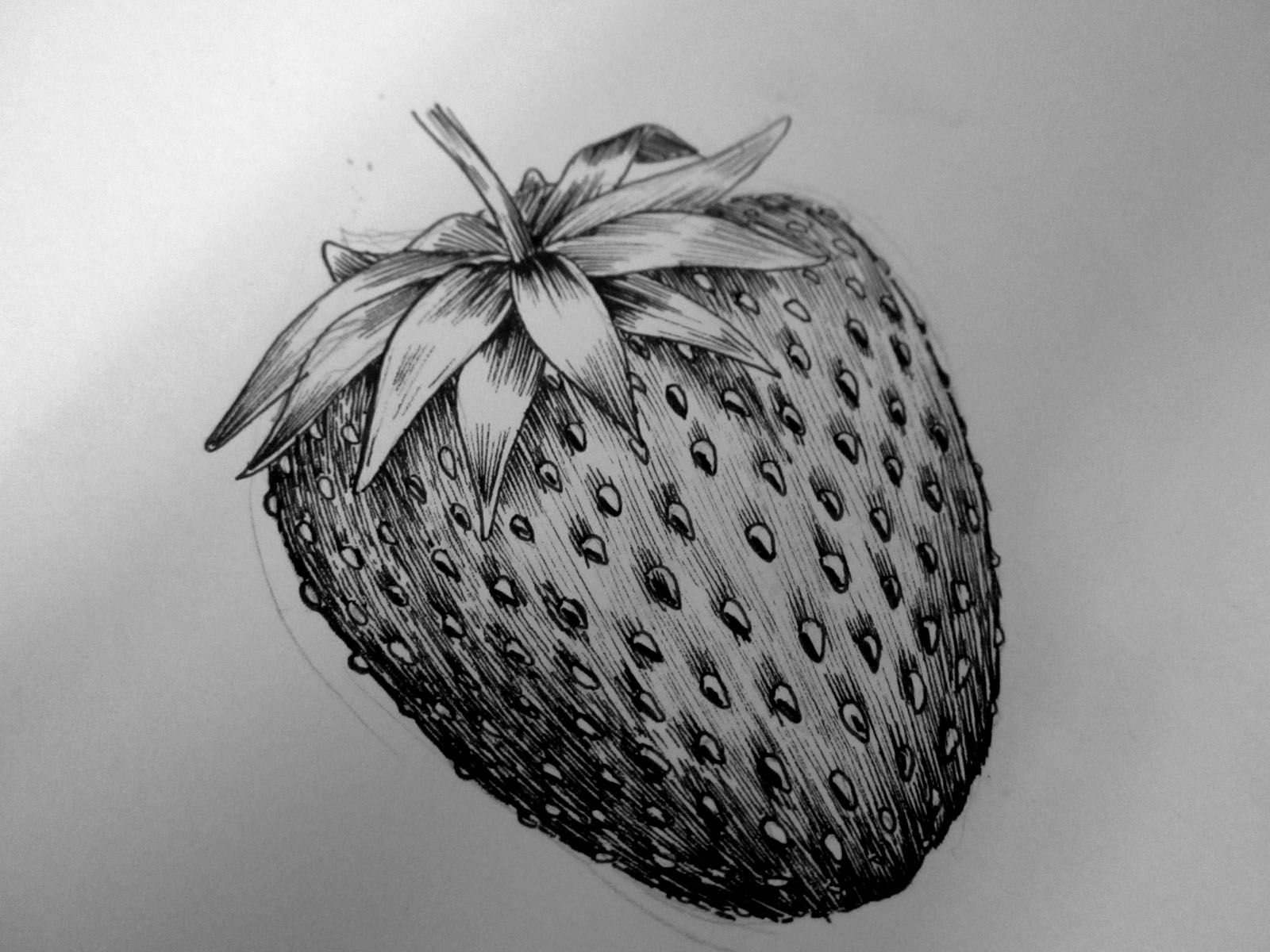 1600x1200 Strawberry Drawing Free Download - Strawberry Pencil Drawing
