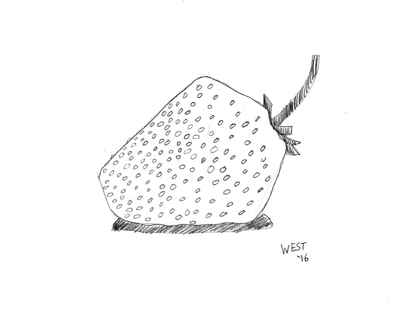 792x612 The Art Of Max West - Strawberry Pencil Drawing