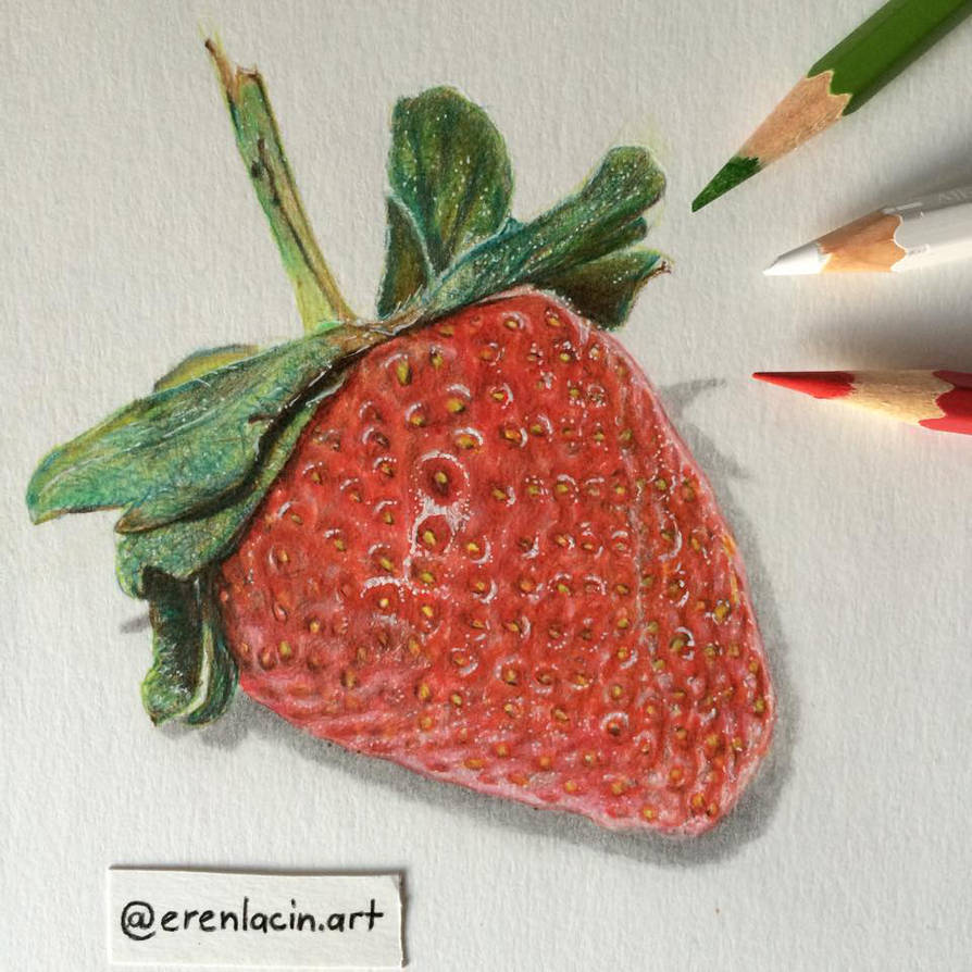 894x894 Color Drawing Pencil ' Strawberry ' - Strawberry Pencil Drawing