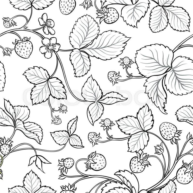 800x800 Strawberry Plant Seamless Pattern On Stock Vector Colourbox - Strawberry Plant Drawing