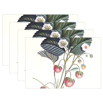 425x425 ypink strawberry plant strawberry strawberries plant - Strawberry Plant Drawing