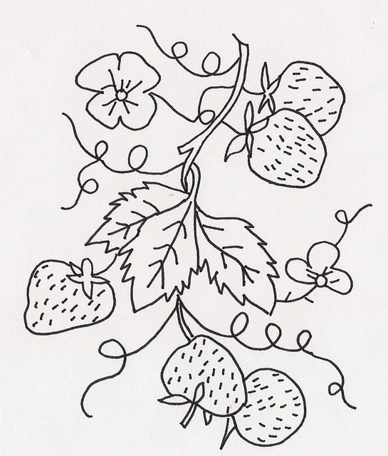 Strawberry Vine Drawing