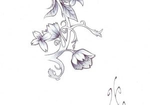 300x210 flower vine sketch bird strawberry flower vine label sketch - Strawberry Vine Drawing