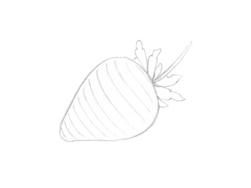 850x635 How To Draw Different Varieties Of Berry - Strawberry Vine Drawing