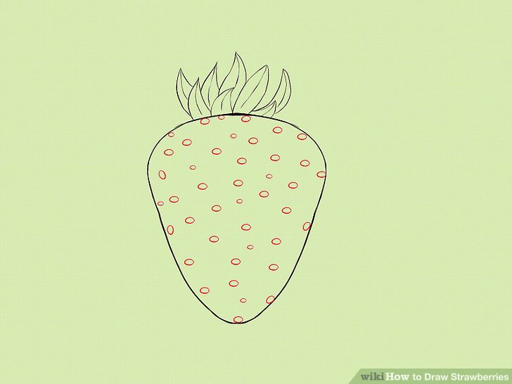 728x546 How To Draw Strawberries Steps - Strawberry Vine Drawing