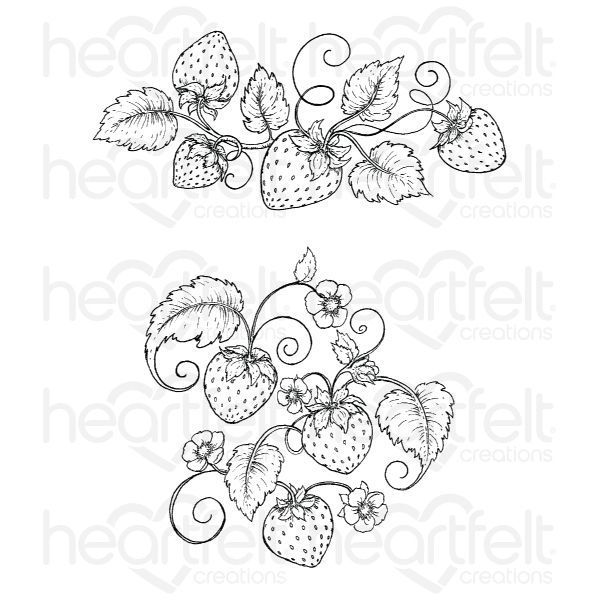 Strawberry Vine Drawing at Explore collection of
