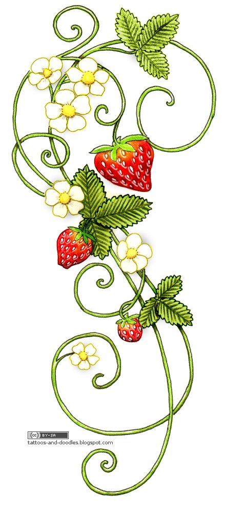 443x1000 Strawberry Tattoo Designs Tattoos And Doodles Strawberries - Strawberry Vine Drawing