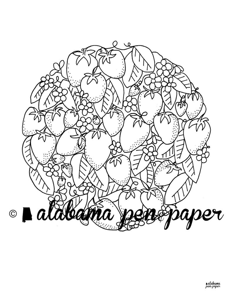 794x1028 Strawberry Vine Coloring - Strawberry Vine Drawing