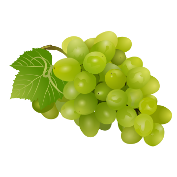 360x360 Cartoon Fruit Pictures Vector Fruit,strawberry, Cartoon Clipart - Strawberry Vine Drawing