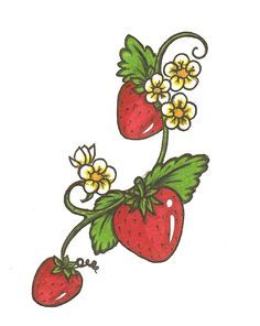 236x296 strawberry vine flowers and plants strawberry tattoo, tattoos - Strawberry Vine Drawing