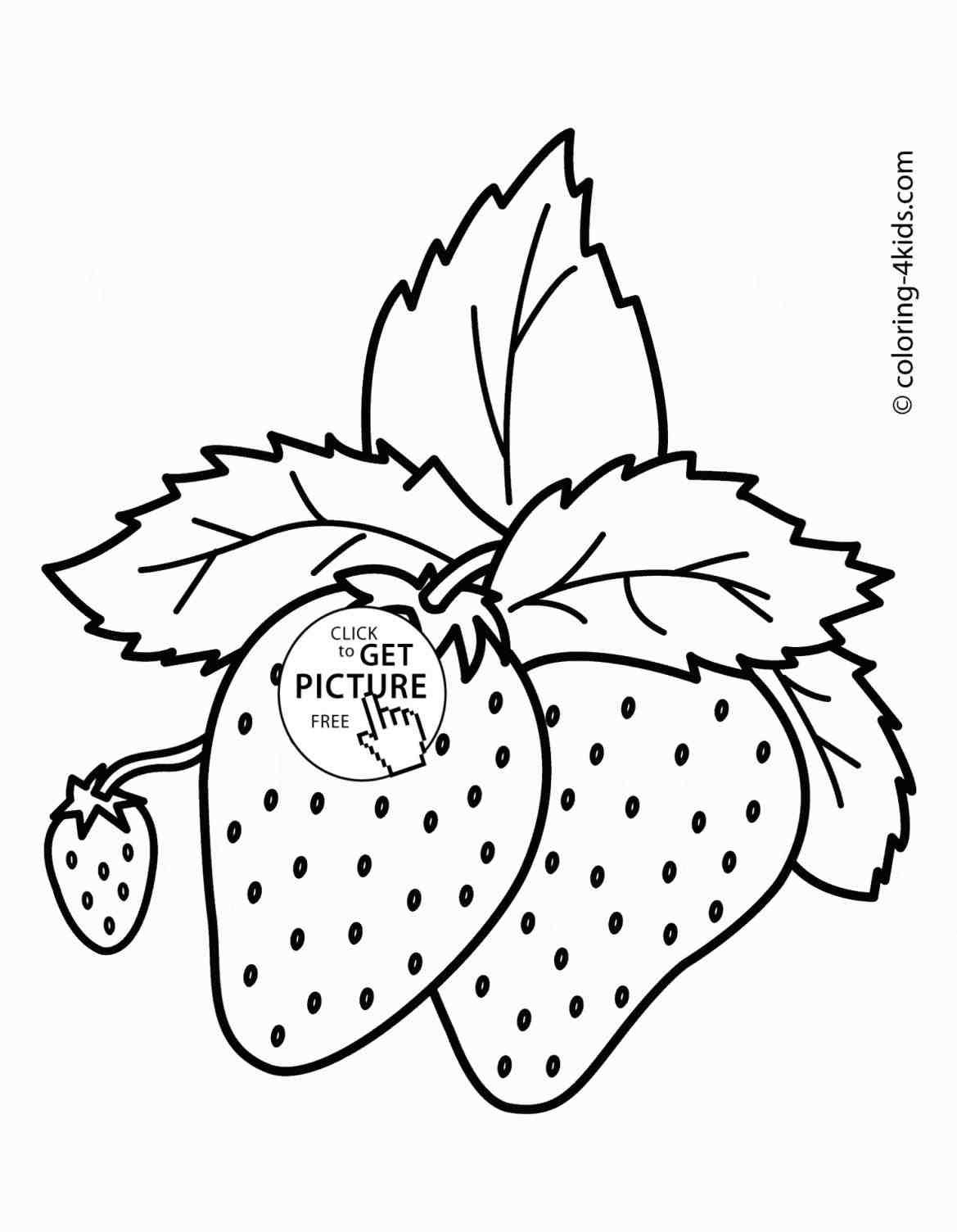 1169x1504 Drawing Vine Lemon For Free Download - Strawberry Vine Drawing