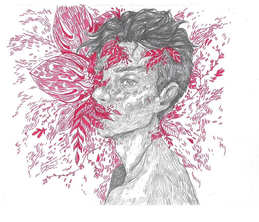 1000x858 Blood Vine - Strawberry Vine Drawing