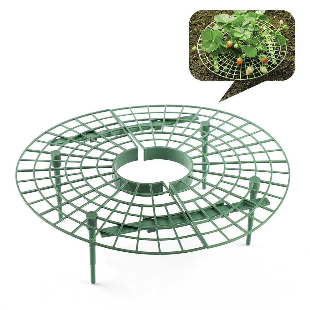 1000x1000 Detail Feedback Questions About Durable Plant Support Multi - Strawberry Vine Drawing