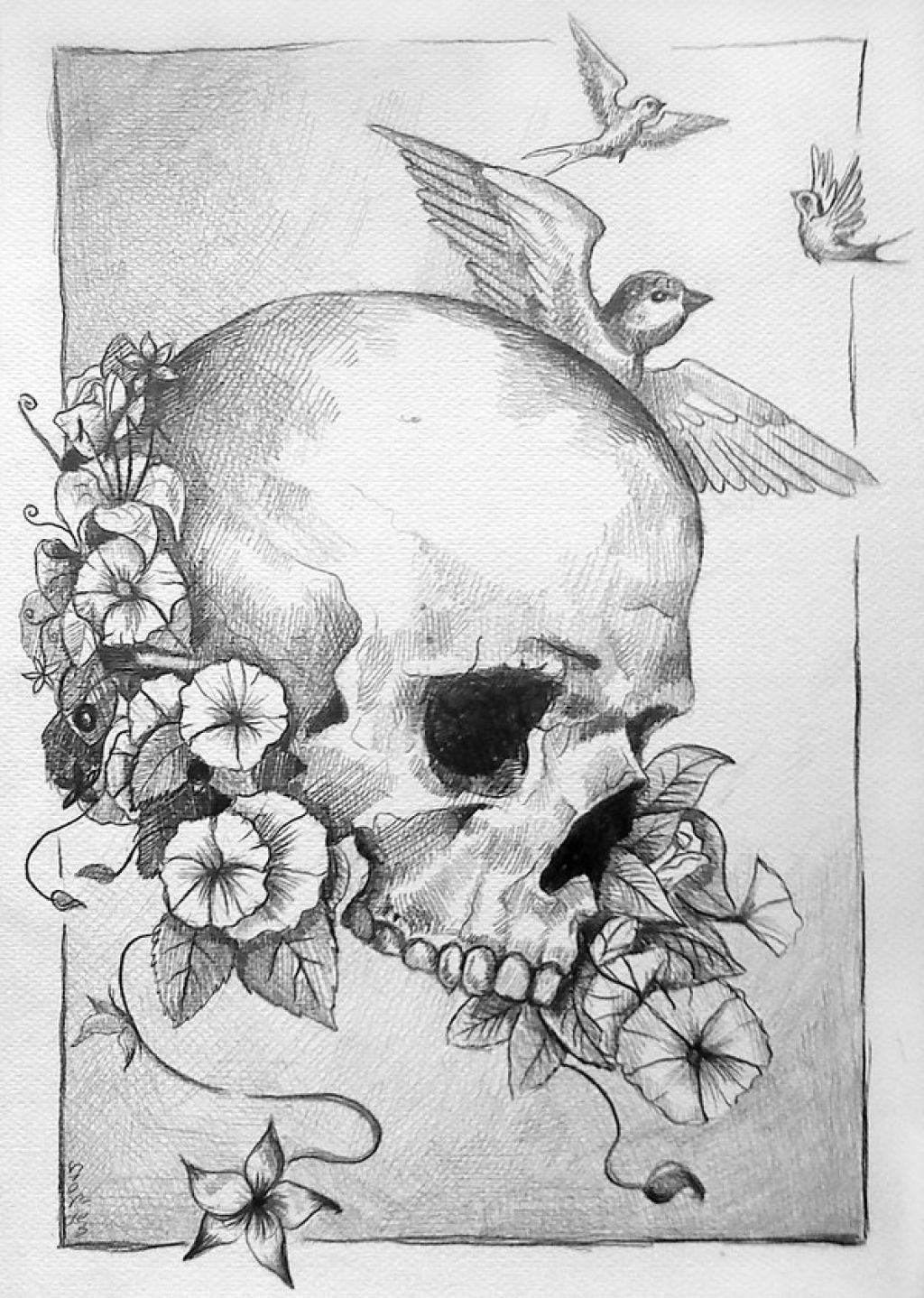 1024x1438 Skull Flower Drawing And Skull And Flower Drawings Art Graffiti - Street Art Drawings
