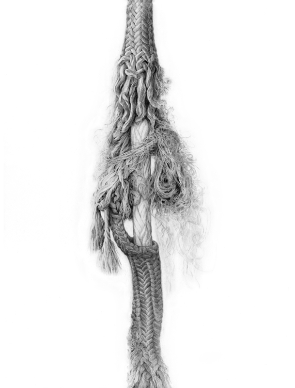 609x800 gallery - Strength Drawing