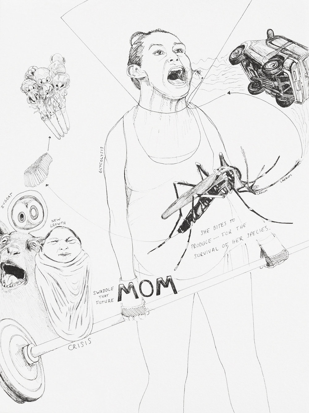 1000x1338 drawings s grass - Strength Drawing