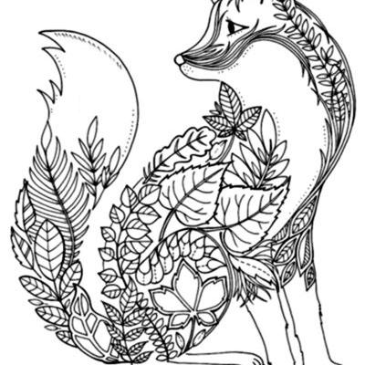 400x400 colour me stress free the daily star - Stress Free Drawing