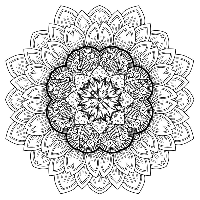 800x800 high resolution coloring design for stress relief free download - Stress Free Drawing