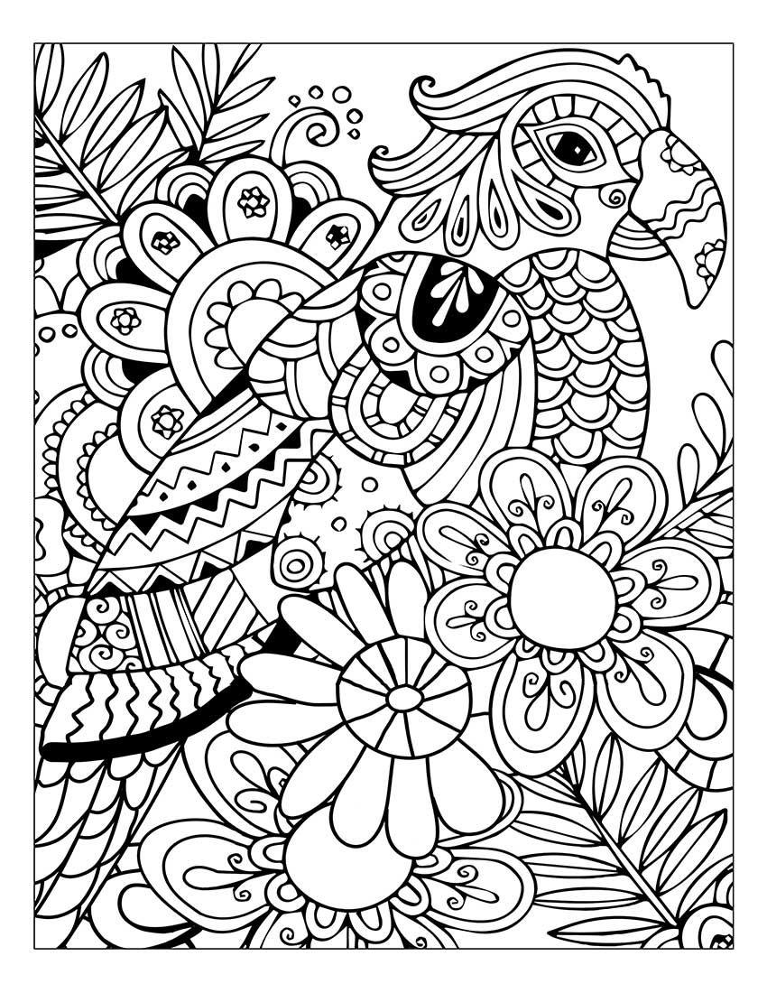 850x1100 link coloring adult coloring books stress relief flower and nature - Stress Free Drawing