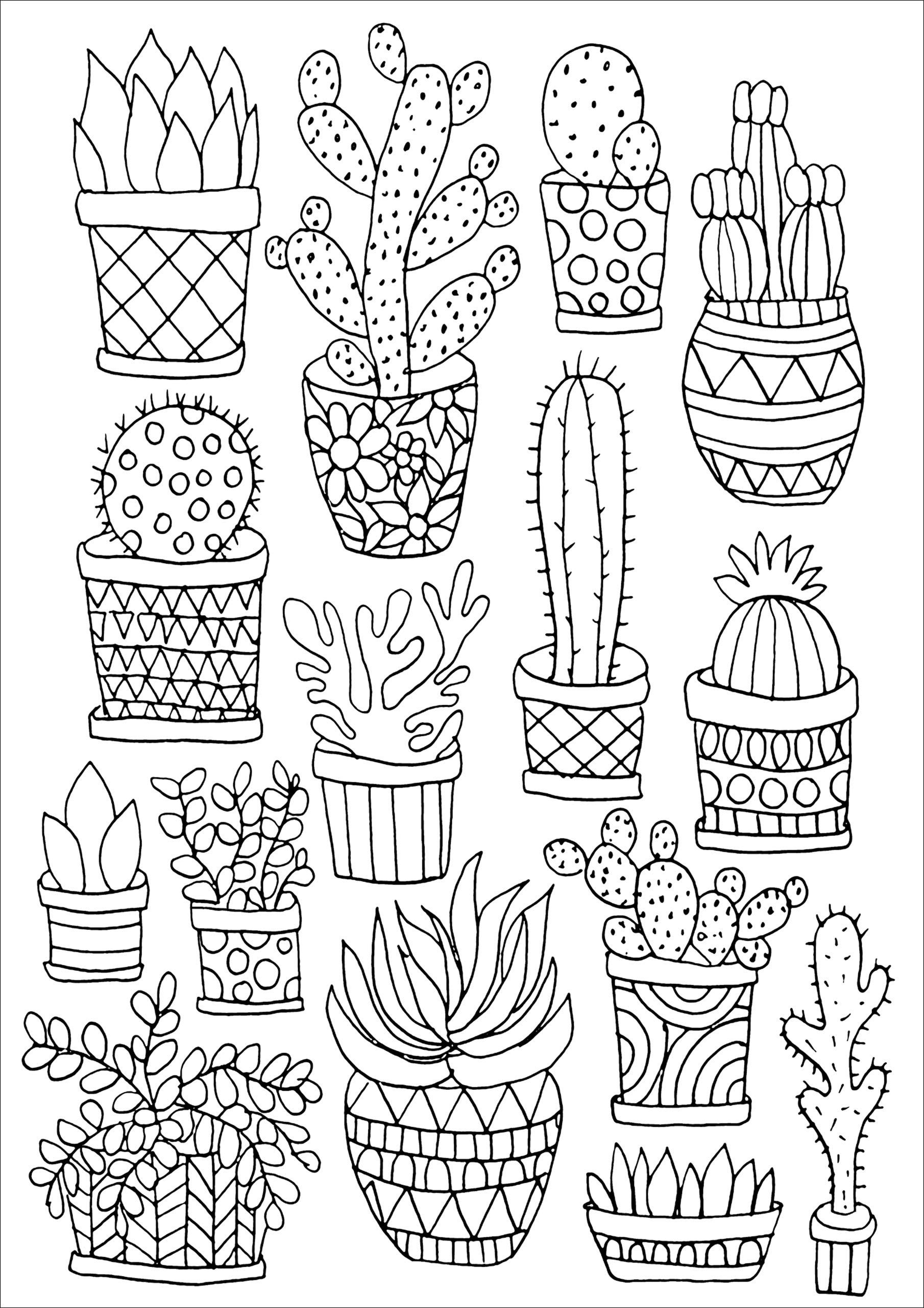1810x2560 amazonsmile succulents portable adult coloring book - Stress Relief Drawing