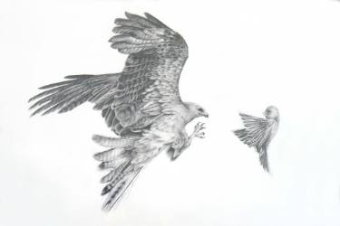 375x250 strike drawing - Strike Drawing