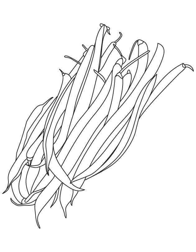 630x810 string beans coloring pages, kids coloring pages, free printable - String Beans Drawing