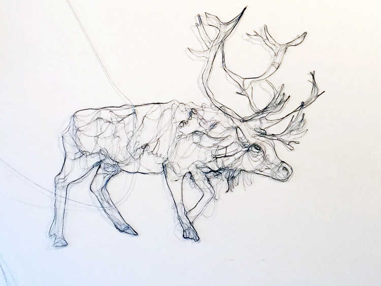 750x563 Bethany Taylor Visual Artist - String Drawing