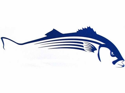 420x314 steelfin striped bass decals tackledirect - Striped Bass Drawing