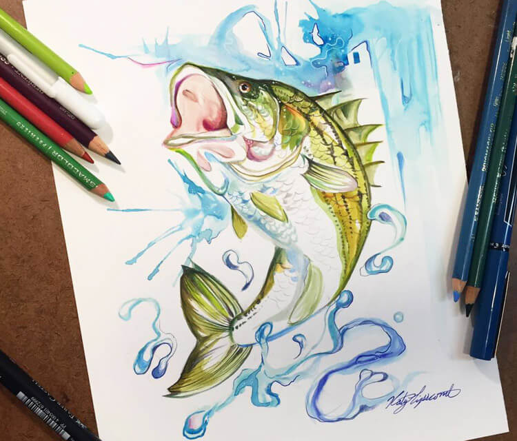 750x640 Striped Bass Color Drawing - Striped Bass Drawing