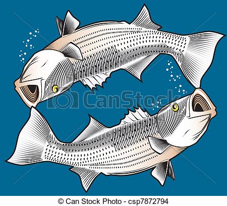 450x408 striped bass twin striped bass - Striped Bass Drawing