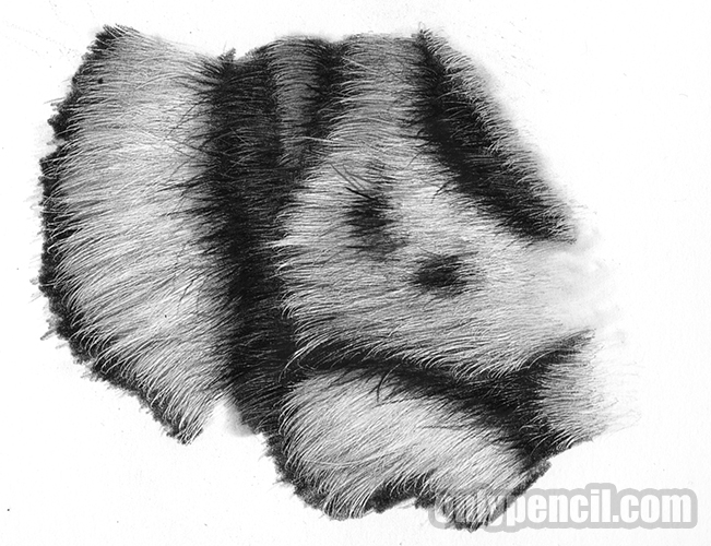 651x500 Drawing Animal Stripes With Pencil - Stripes Drawing