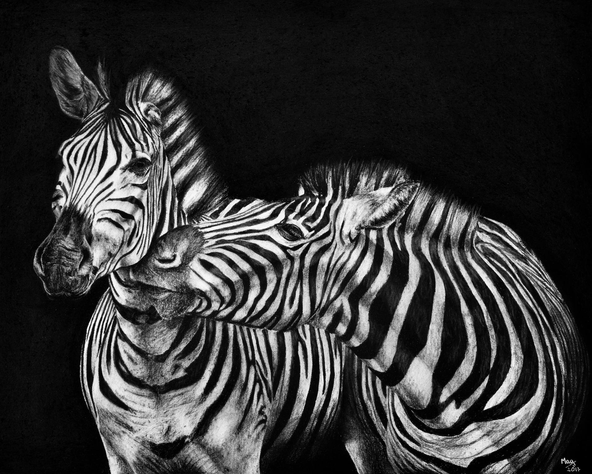 Stripes Drawing at Explore collection of Stripes