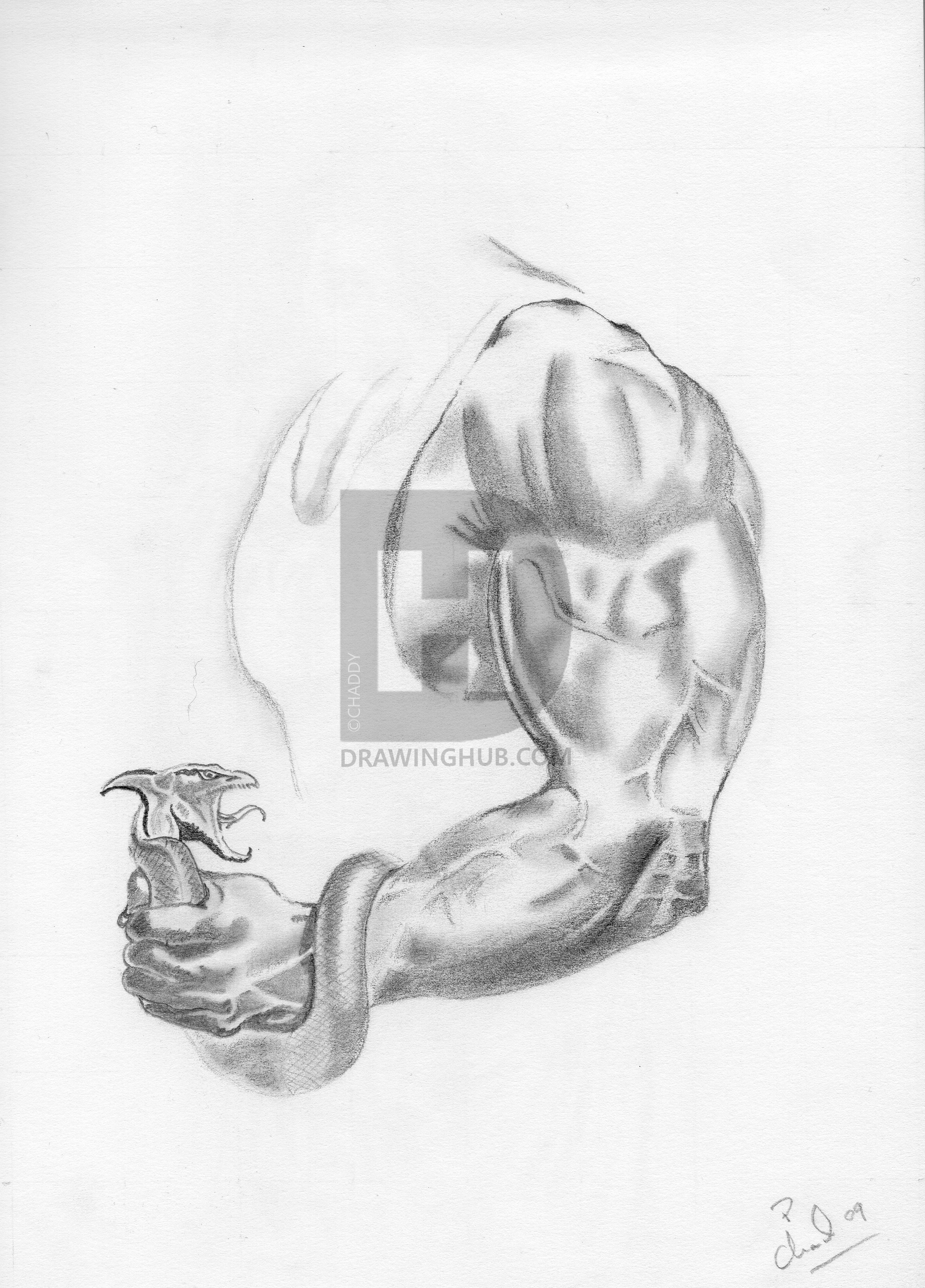 2424x3377 the strong arm drawing - Strong Arm Drawing