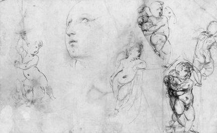 432x265 drawing and cartoons studying raphael research the national - Study Drawing