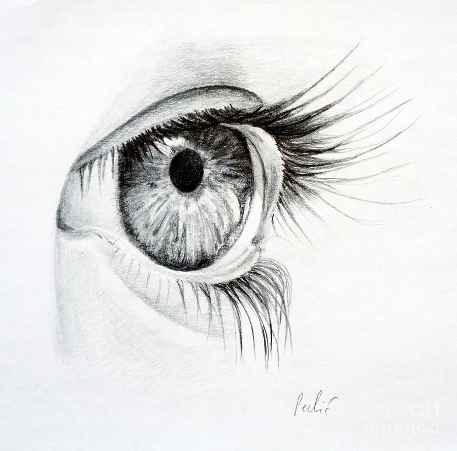 900x888 eye study drawing - Study Drawing