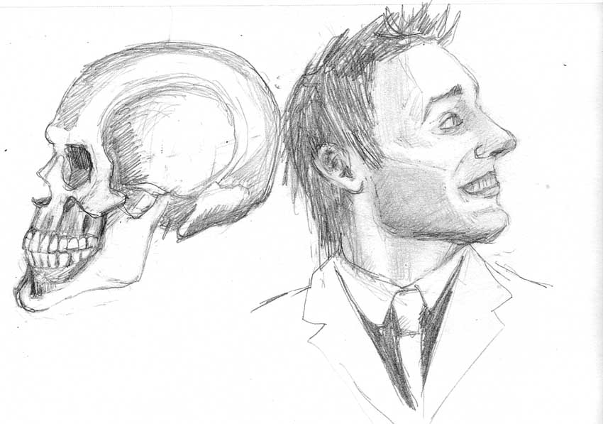 850x597 learning to draw heads practice and study with skulls and loomis - Study Drawing