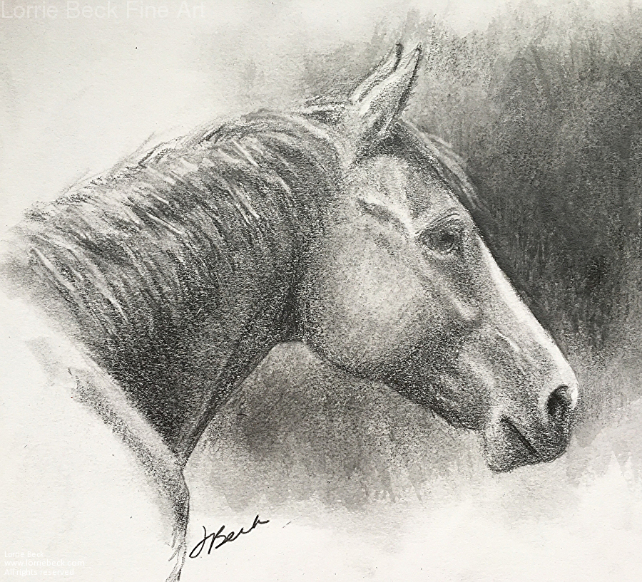 900x817 lorrie beck - Study Drawing