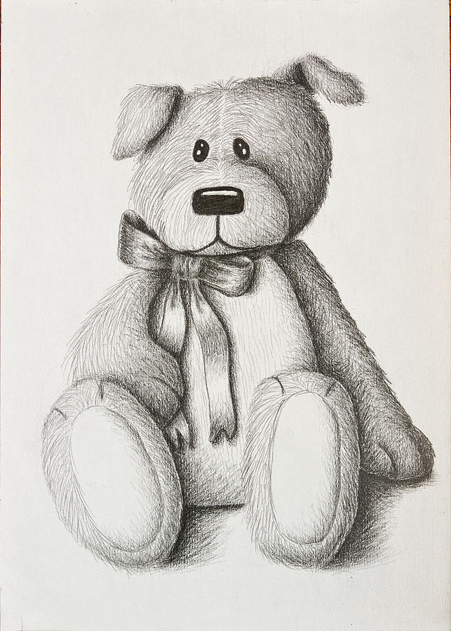 643x900 Stuffed Toy Dog Drawing - Stuffed Animal Drawing
