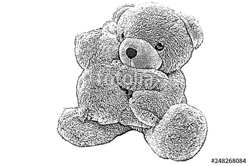 500x334 teddy bear,sketch teddy bear,drawing teddy bear isolated on white - Stuffed Bear Drawing