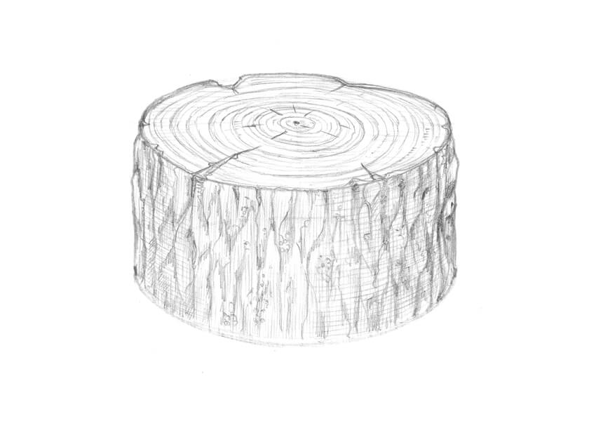 850x603 how to draw a tree - Stump Drawing