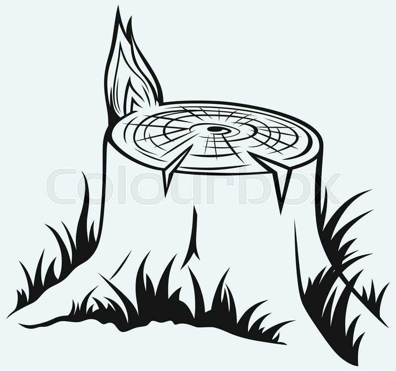 800x750 stump drawing free download - Stump Drawing