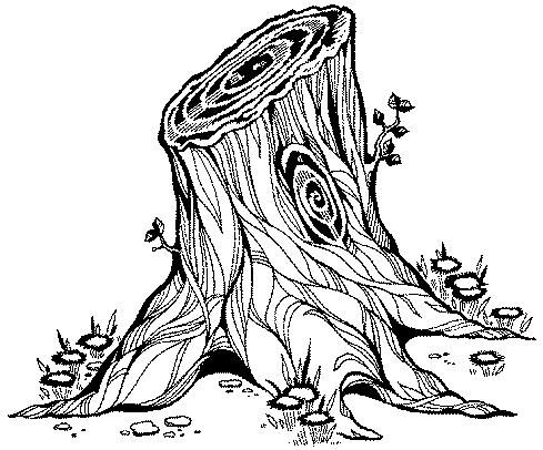 489x406  - Stump Drawing