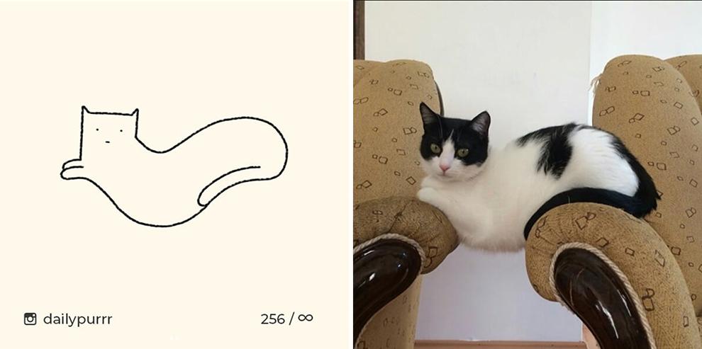 990x493 these stupid cat drawings will brighten your day meowingtons - Stupid Drawings