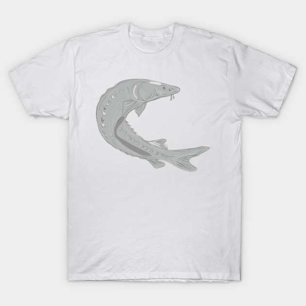 630x630 Lake Sturgeon Swimming Up Drawing - Sturgeon Drawing