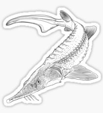 210x230 Sturgeon Drawing Gifts Merchandise Redbubble - Sturgeon Drawing