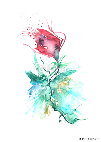 354x500 watercolor beautiful red flower on a white background a stylish - Stylish Drawing
