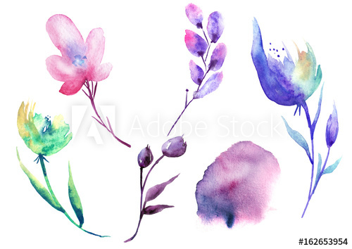 500x354 watercolor set of exotic vintage flowers, plants, berries, stains - Stylish Drawing