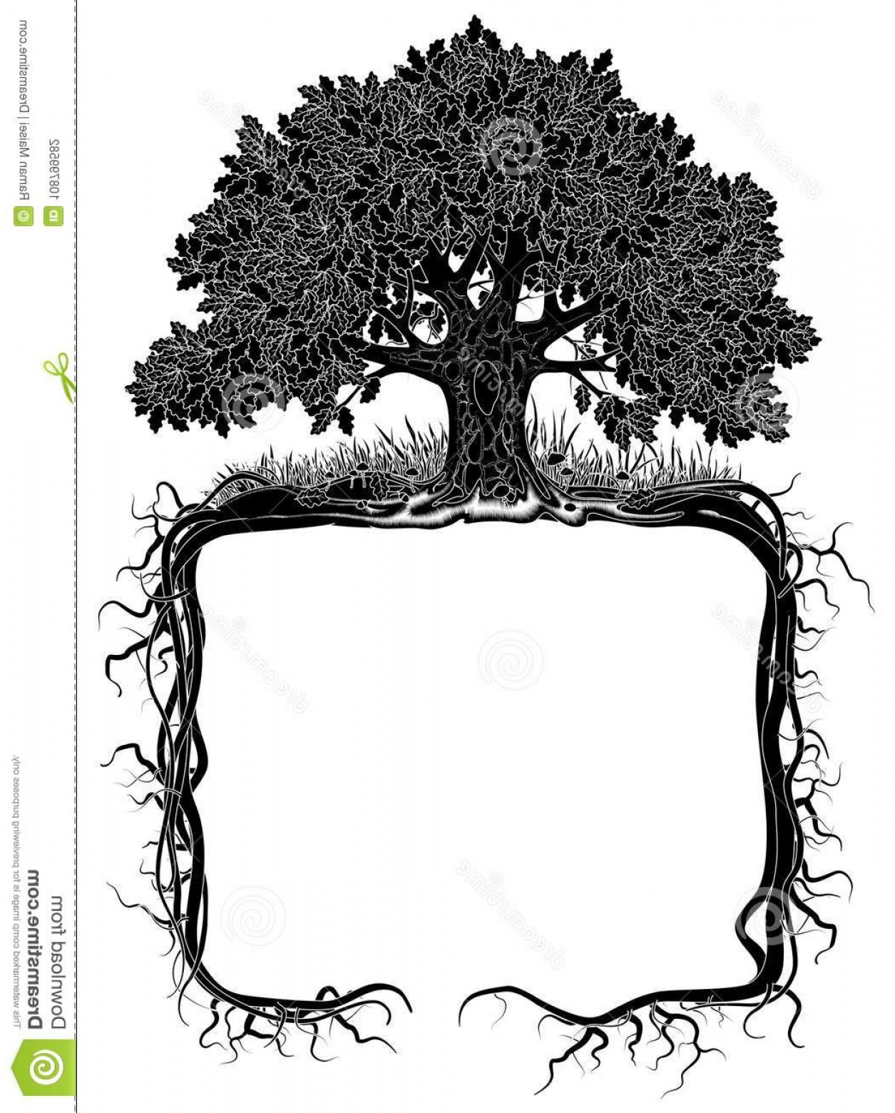 1255x1560 Oak Tree Roots Frame Artistic Banner - Stylized Drawing